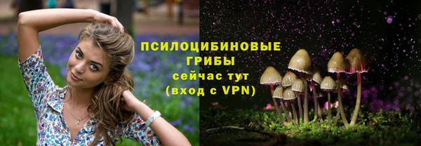 гашиш Бородино
