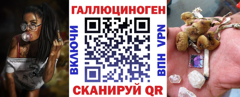 где продают Ессентукская Псилоцибиновые грибы Psilocybe